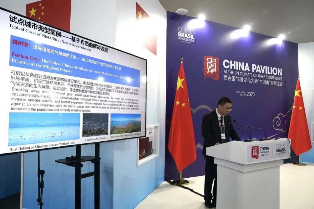 惊艳联合国！闽江河口湿地案例亮相COP30